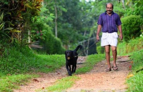Sulthan Bathery Apartamento | GreensVista Wayanad AC Pillar Homestay near Natural Stream and Amazing View