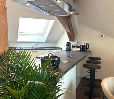 Bamberg Apartamento | GreenTreeHomes - Penthouse Willow