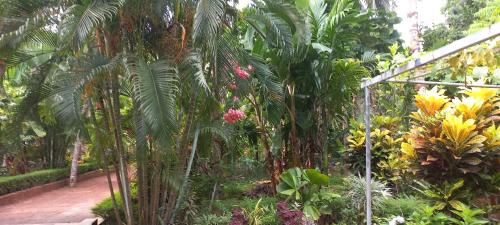 Talipparamba Casa | greenview homestay Mayyil