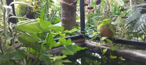 Talipparamba Casa | greenview homestay Mayyil