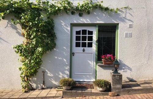 Vilt Apartamento | Greenwoods cottage