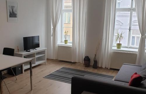 Mala Strana Apartamento | Greg Apartments Kampa Prague