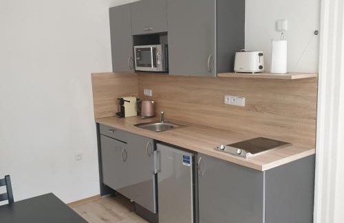 Mala Strana Apartamento | Greg Apartments Kampa Prague