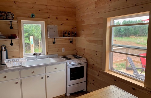 Flat River Cabaña | Grey Bear Cottage