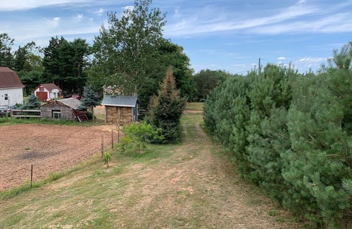 Flat River Cabaña | Grey Bear Cottage