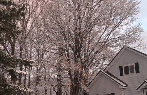Chatsworth Otro | Grey County Farmhouse Short-term Room Stay