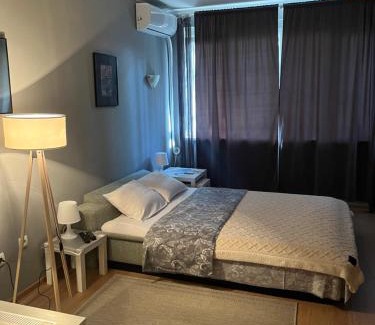 Banovo brdo Apartamento | Grey
