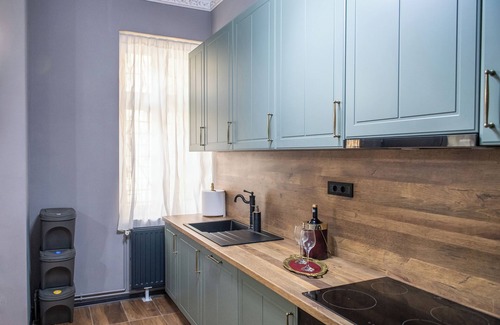 Timisoara Apartamento | Grey Symphony - Charming vintage apartment with AC in downtown of Timisoara