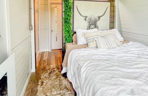Custer Casa | Grey Wolf Outpost