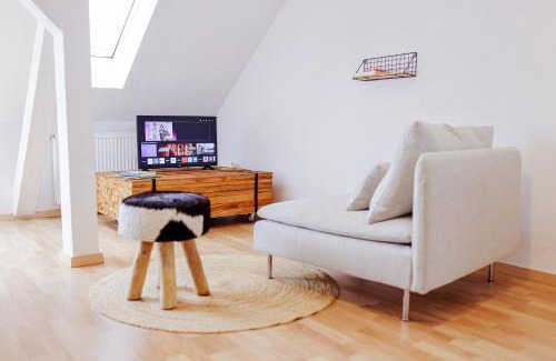 Weissenfels Apartamento | Große City-Wohnung, salt apartments Weissenfels