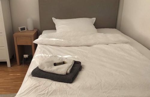 Neustadt-Sued Casa | Großzügiges Zimmer mit Badezimmer in Rheinwohnung