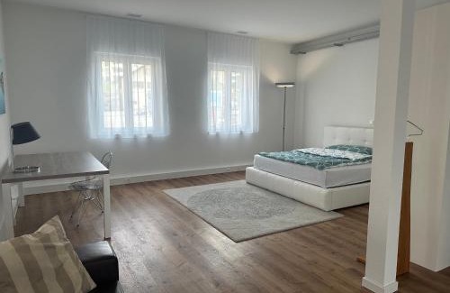 Seengen Apartamento | Grosse Einzimmerwohnung/Büro/Showroom