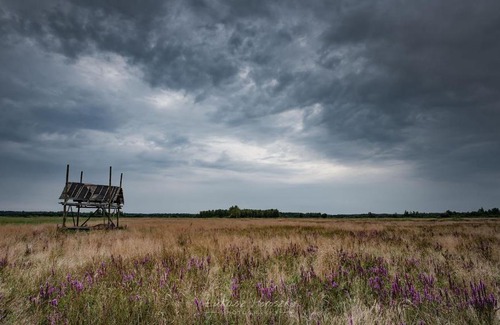 Narewka Casa | Groszkówka