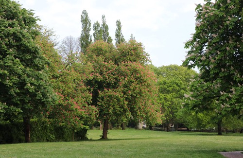 Sidmouth Apartamento | Apartamento en planta baja, cerca de la playa y del centro de la ciudad, con parking