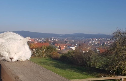 Neunburg vorm Wald Apartamento | Ground floor apartment (65 sqm) with terrace