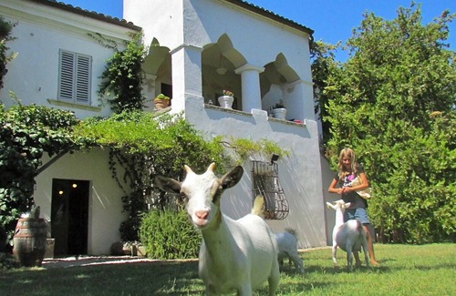Tocco da Casauria Otro | GRUPOS (hasta 9 apartamentos y 35 p) debajo de las montañas pero solo 30 min. del mar!