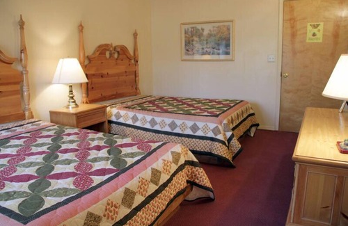 Dandridge Cabina | Grupos grandes ~ Lodge, asequible, familiar (a poca distancia del lago)