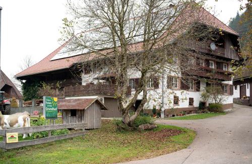 Elzach Apartamento | Grundhof 2