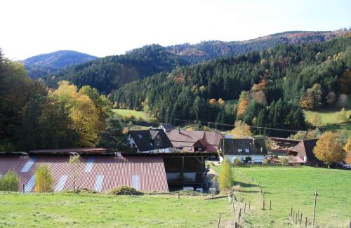 Elzach Apartamento | Grundhof 2