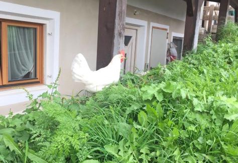 San Vito Apartamento | Gstattlhof Mountain Farmhouse