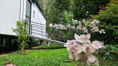 Moniquira Otro | Guadalajara Glamping