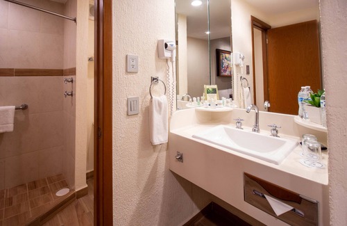 Zona Expo Hotel | Guadalajara Plaza Expo Business Class