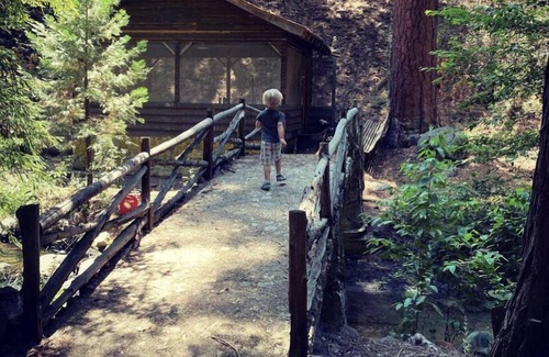 Posey Cabina | Guest Cabin at Three Falls Ranch