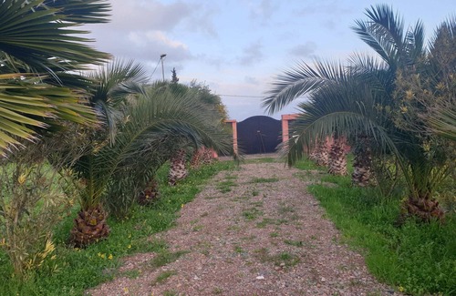 Ziaida Casa | Guest farm les collines de benslimane