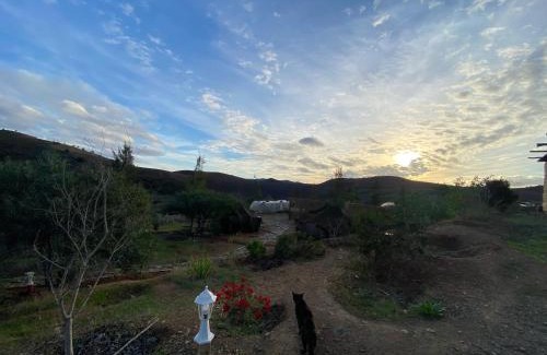 Bir Ennasar Casa | Guest farm Oulad Chmicha