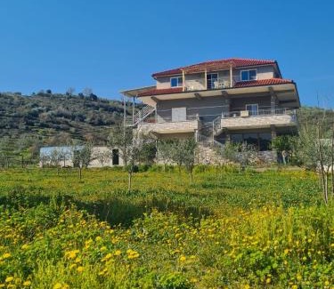 Berat Casa | Guest House Ilir