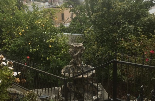 Mount Davidson Manor Cabaña | Guest House inside the beautiful yard