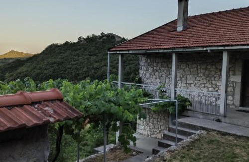 Donje Polje Casa | Guest House Jovicevic - Gornji Ceklin