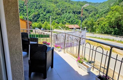 Predejane Casa | Guest House Konak Iris
