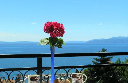 Volosko Casa | Guest House Lifestyle Holiday