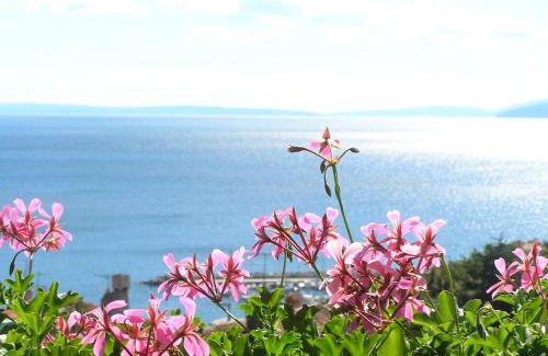 Volosko Casa | Guest House Lifestyle Holiday