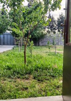 Baku Apartamento | Guest House near Baku airport