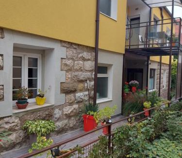 Soko Banja Apartamento | Guest House Pavlovic