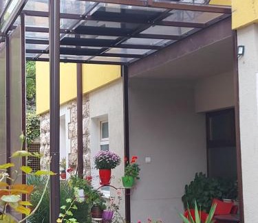 Soko Banja Apartamento | Guest House Pavlovic