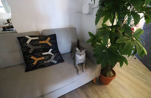 Centro Direzionale Casa | Guest House Pirelli