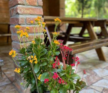 Shekhvetili Casa | Guest House Shekvetili