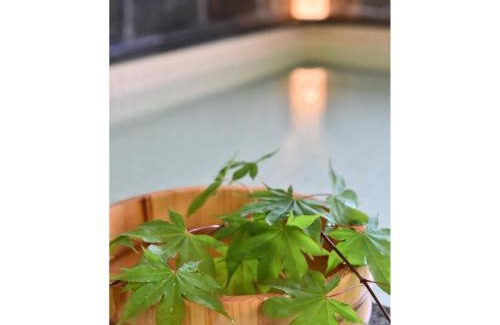 Omachi Hotel | Guest House Takenoya - Vacation STAY 43327