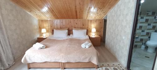 Stepantsminda Casa | Guest House Tamta