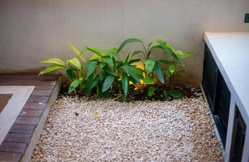 Tulum Hotel | Guest INN Home - Elements Suites