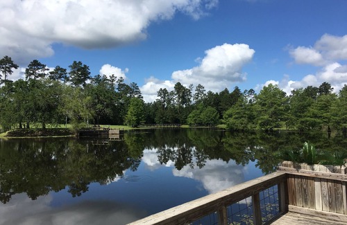 Plantersville Cabina | GUEST RANCH CABIN /POOL/FISHING LAKE