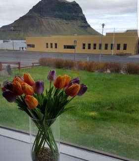 Grundarfjordur Casa | Guesthouse 43 Free parking