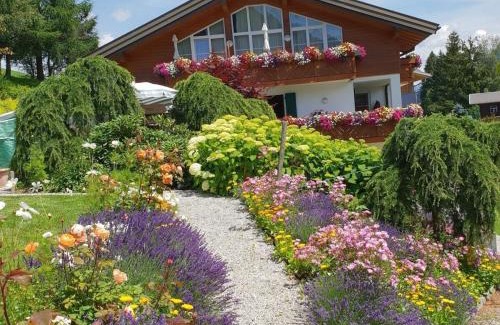 Hirschegg Casa | Guesthouse Büchele