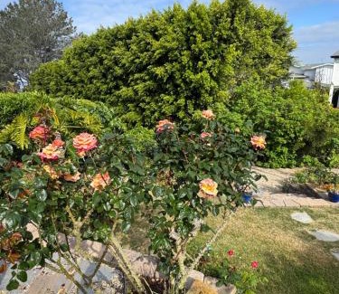 Del Mar Heights Apartamento | Guesthouse in Coastal Del Mar, California