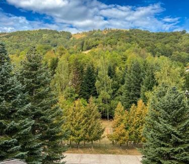 Kopaonik Casa | Guesthouse Junior