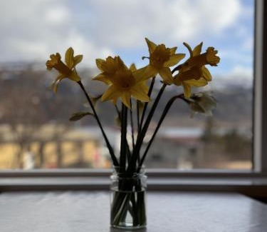 Talknafjordur Cama Y Desayuno | Guesthouse Tálknafjörður