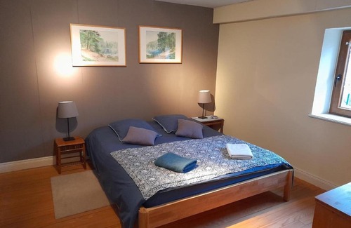 Raon-les-Leau Cama Y Desayuno | Guestroom Raon-lès-Leau, 1 pièce, 3 personnes - FR-1-584-274